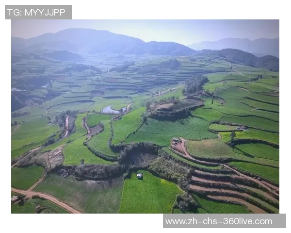 河床与麦田的对话探索自然与农业的和谐共生之美